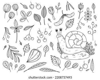 Conjunto de ilustraciones vectoriales con caracol y plantas. Flora y fauna. Carácter alegre y hermosas plantas. Humor otoñal. Ilustración del doodle. Gran conjunto de elementos.