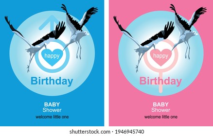 Satz von Vektorgrafiken mit Storchen, Herzen und Ort für Text, Rosa und Blau für ein Mädchen und für einen Jungen. Einladung, Glückwunsch, Flyer, Poster, Postkarte mit der Geburt eines Kindes.