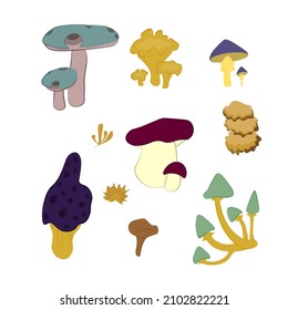A set of vector illustrations . Stylized cartoon style mushrooms.