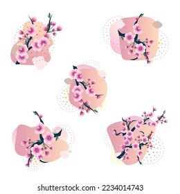 Set of vector illustrations and template with sakura branch on abstract background simple modern style. Hand drawn for decorating wedding invitations or greeting cards and social media.