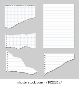 Set of Vector Illustrations of torn pages of notebook paper lined and squared with shadows