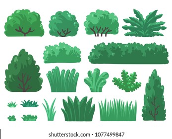 Set vector illustrations of tree and bush in minimal design. ( Isolated  on background) Part 3