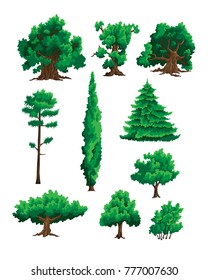 Set of vector illustrations of trees