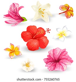 Set of vector illustrations of tropical hibiscus flowers with pink, red, yellow and white petals isolated on a white background in a realistic style. Template, element design, print.
