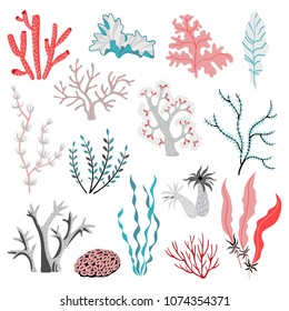 熱帯の海藻とサンゴのベクターイラストセット 海の生活 白い背景にかわいいイラスト のベクター画像素材 ロイヤリティフリー Shutterstock