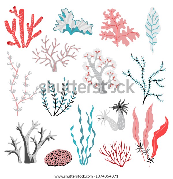 熱帯の海藻とサンゴのベクターイラストセット 海の生活 白い背景にかわいいイラスト のベクター画像素材 ロイヤリティフリー