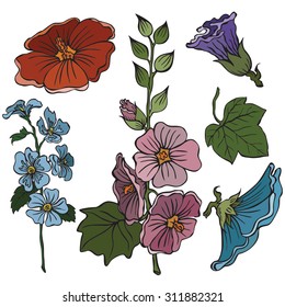 Set of vector illustrations of various flowers
