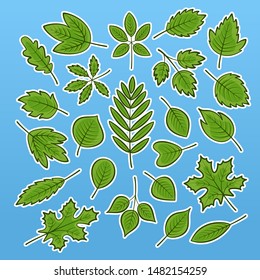 Set of vector illustrations of various green leaves with bright coloring with a stroke. Green leaf icons