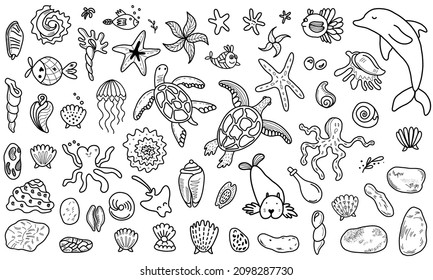 Set of vector illustrations of various outline graphic icons with marine animals and fish against white background