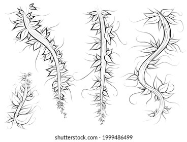 Set of vector illustrations of vines in different sizes, with leaves and small branches