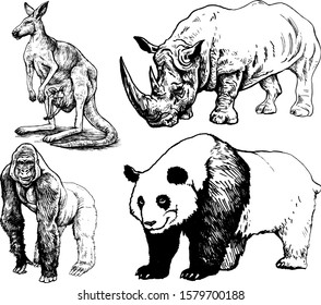 Set of vector illustrations of wild animals disappearing from nature