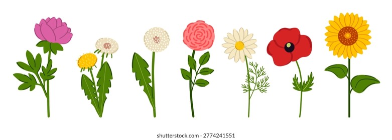 Set of vector illustrations of wildflowers in flat style.