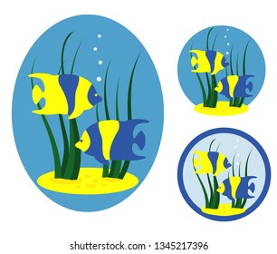 Set of vector illustrations with yellow and blue tropical sea fish and seaweed on round blue background. Aquarium, sea life, flat design elements.