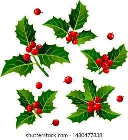 Set of vector image of Christmas holly with red berries.