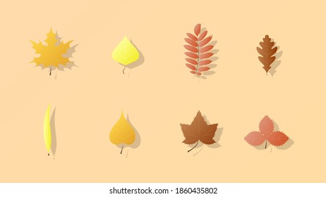 Set of vector images of autumn foliage
