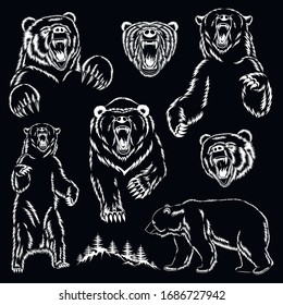 Conjunto de imágenes vectoriales de osos. Los osos están furiosos. Diseñar elementos para imprimir.