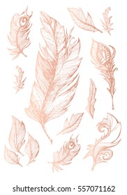 
set of vector images of birds feathers, poster, greeting card for the holiday, printing on T-shirt, mug, Covers for notebooks, sketch, hand-drawn illustration, vintage, doodle, 
isolated feathers