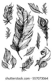 
set of vector images of birds feathers, poster, greeting card for the holiday, printing on T-shirt, mug, Covers for notebooks, sketch, hand-drawn illustration, Coloring for adults, tattoo, art