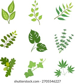 Conjunto de imagens vetoriais de ramos e folhas de plantas verdes sobre um fundo branco.