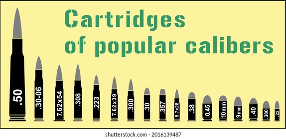 Set of vector images of cartridges of different caliber