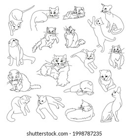 Un conjunto de imágenes vectoriales de gatos de diferentes razas. Dibujos en línea blanca y negra de diferentes poses de gatos angora, persa, fritos