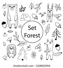 Set of vector images. Vector clipart on the forest theme. Forest animals and plants on a transparent background.