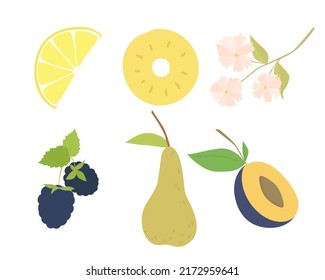 Set of vector images of different fruits. Designer drawing of colorful fruits: pear, plum, blackberry, lemon, flower, pineapple