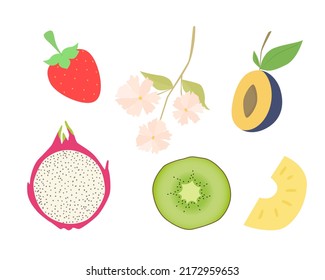 Set of vector images of different fruits. Designer drawing of colorful fruits: dragon fruit, kiwi, flower, strawberry, plum, melon