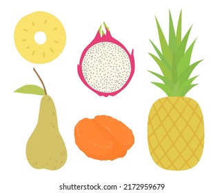 Set of vector images of different fruits. Designer drawing of colorful fruits: melon, pear, pineapple, mango, dragon fruit
