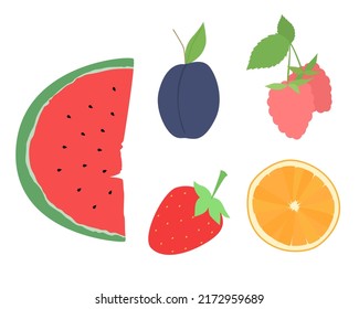 Set of vector images of different fruits. Designer drawing of colorful fruits: watermelon, plum, strawberry, raspberry, orange