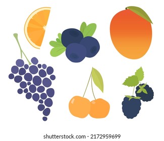 Set of vector images of different fruits. Designer drawing of colorful fruits: grapes, blackberries, cherries, mangoes, oranges