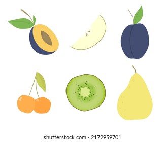 Set of vector images of different fruits. Designer drawing of multi-colored fruits: Plum, cherry, blocko, kiwi, pear