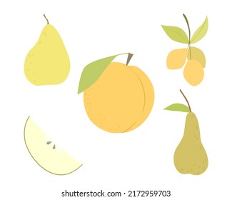 Set of vector images of different fruits. Designer drawing of colorful fruits: peach, cherry plum, pear, apple
