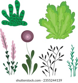 Conjunto de imágenes vectoriales de diferentes hierbas, flores, arbustos