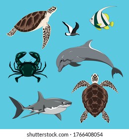 Set of vector images dolphin, turtles, shark, crab, seagull, fish.