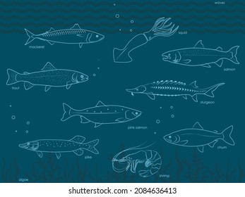 Set of vector images, fish icons. Flyer with graphic silhouettes, seaweed, wave, water, fish. Trout, salmon, chum salmon, mackerel, pink salmon, sturgeon, pike, shrimp, squid. Advertising banner.