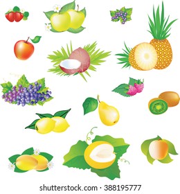 Set of vector images of fruits.

