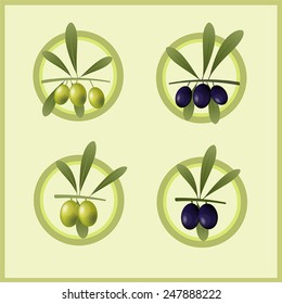 Set of vector images of green and black olives with leaves on a bright green background