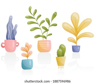 A set of vector images of home plants in pots of various unusual shapes and bright colors with reflection. Large and small leaves painted in gradient, cacti.
