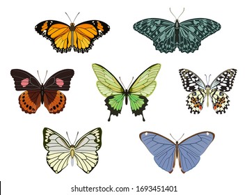 Set of vector images of icons of different-colored butterflies of different types in flat style.