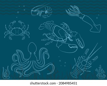 Set of vector images, icons, molluscs. Flyer with graphic silhouettes, seaweed, wave, water. Octopus, lobster, crab, shrimp, squid, cancer. Advertising banner.