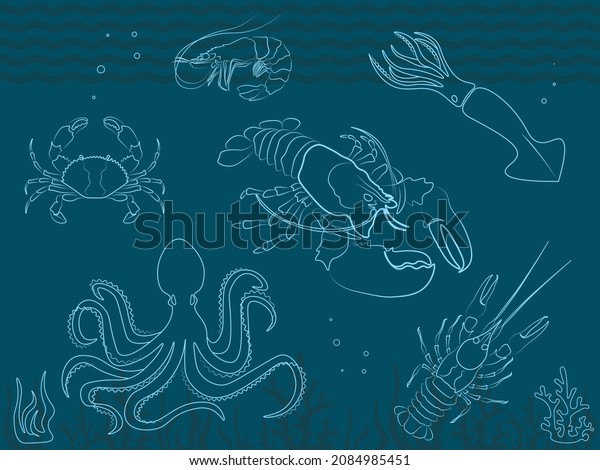 Set of vector images, icons,\
molluscs. Flyer with graphic silhouettes, seaweed, wave, water.\
Octopus, lobster, crab, shrimp, squid, cancer. Advertising\
banner.