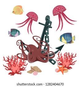 Set of vector images of jellyfish, fish, octopus, corals, seashells, anchors, starfish on a white background.