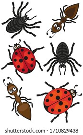 Conjunto de imágenes vectoriales de una mariquita, hormiga y araña sobre un fondo blanco. Dibujo vectorial.