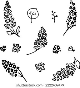 Set of vector images of lilac. Bunches of light and dark color, individual flowers. Elements for creating floral patterns, backgrounds.