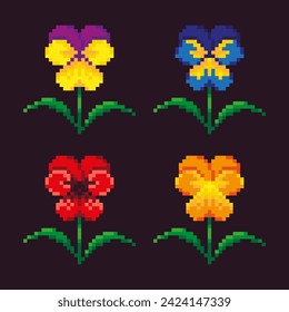 conjunto de imágenes vectoriales de flores multicolores de violetas de tres colores, pansies, ilustración de píxeles coloridos