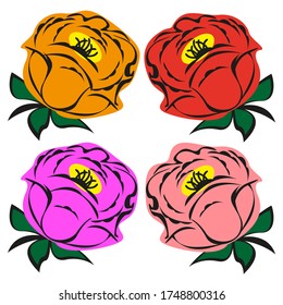 Set of vector images of multi-colored peonies on a white background. Isolated color illustration.