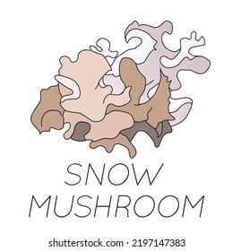 Set of vector images of a mushroom - SNOW MUSHROOM