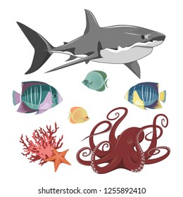 Set of vector images on a white background. Fish, octopus, shark, starfish, corals.