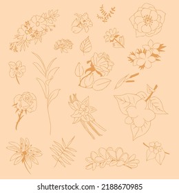 Un conjunto de imágenes vectoriales en forma de lápiz. Una serie de fotos para tatuajes, pegatinas, impresos, revistas y sitios web. Fotos de la naturaleza, plantas, flores.
